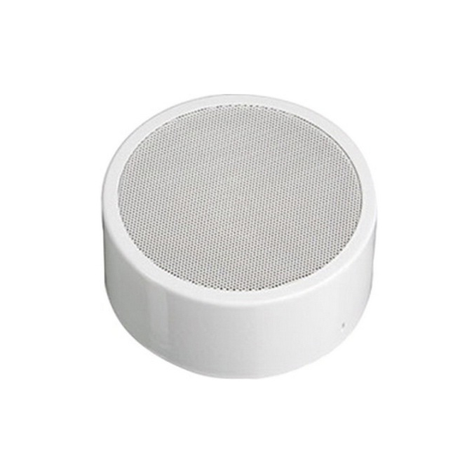 Altavoz antivandálico de...